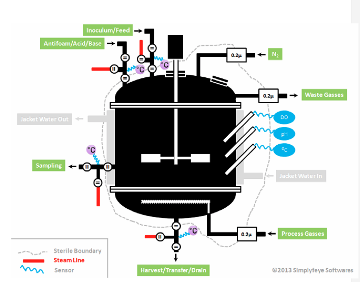 Bioreactor sterile boundaries in the article, Troubleshooting Bacterial Contamination in Bioreactors